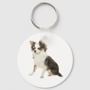 Llavero de cachorro Chihuahua de pelo largo
