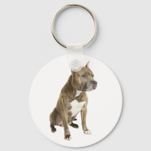 Llavero de cachorro de American Staffordshire Terr
