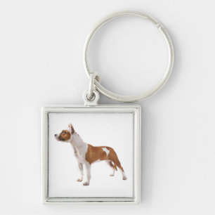 Llavero de cachorro de American Staffordshire Terr
