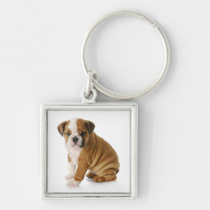 Llavero de cachorro de Bulldog Inglés lindo