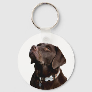 Llavero de cachorro de Labrador Retriever marrón n