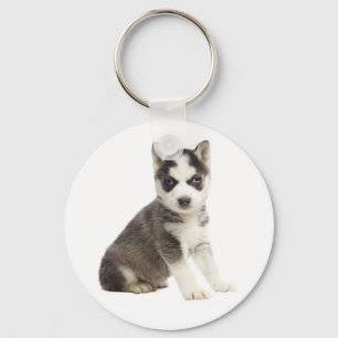 Llavero de cachorro de perro Husky Siberiano