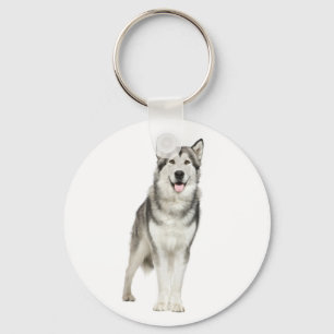 Llavero de cachorro de perro Malamute de Alaska