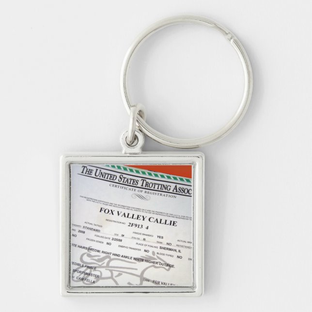 Llavero de Callie (Frente)