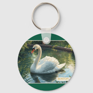 Llavero de cisne del jardín público de Boston, Mas