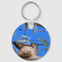 Llavero de colibrí en un nido