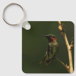 Llavero de Colibrí garganta de rubí