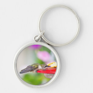 Llavero de Colibrí Garganta de Rubí #0624