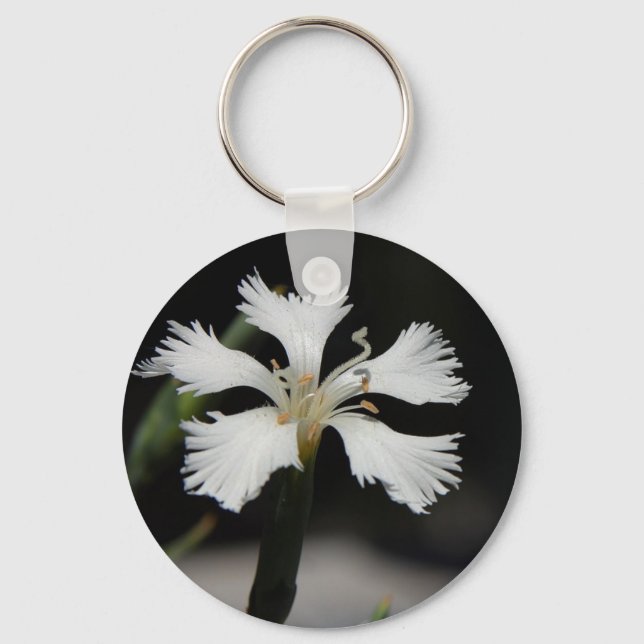 llavero de flor blanca (Anverso)