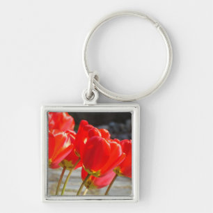 Llavero de flores de tulipán Tulipanes rojos caden