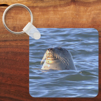 Llavero de foto de foca