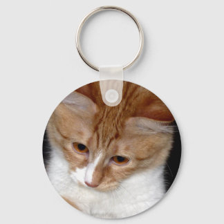 Llavero de gatito mirando