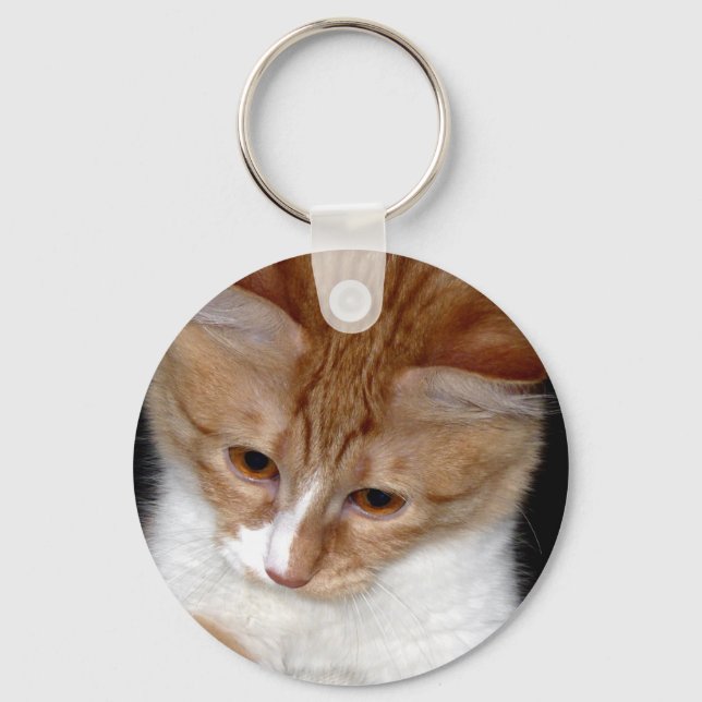 Llavero de gatito mirando (Anverso)