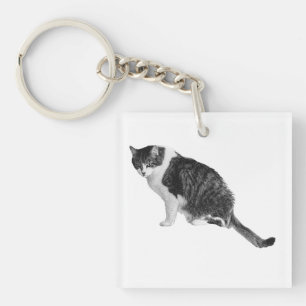 Llavero de gato fotorrealista presta apoyo de ruti