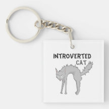 Llavero de gato introvertido divertido | regalo pa