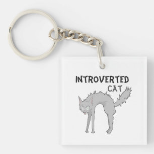 Llavero de gato introvertido divertido regalo pa