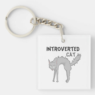 Llavero de gato introvertido divertido | regalo pa