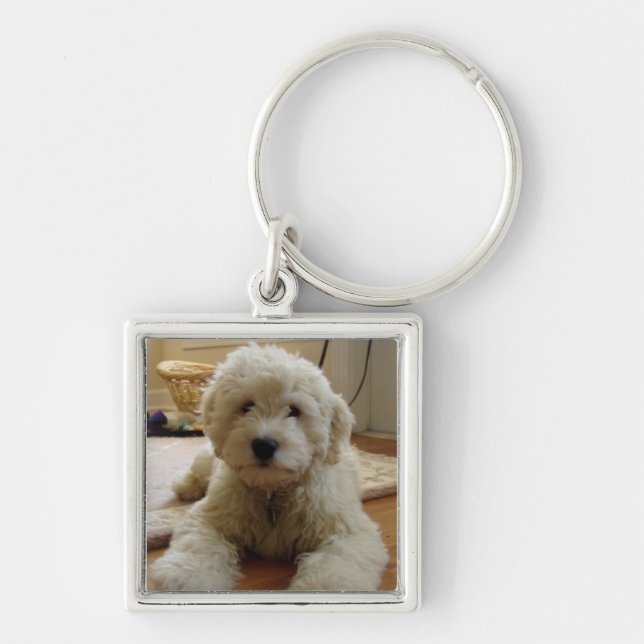 Llavero de Goldendoodle (Frente)