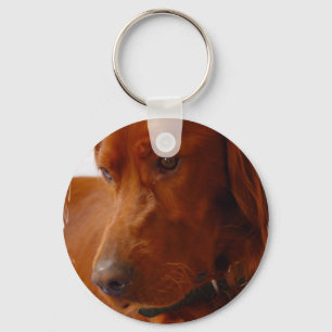 Llavero de Irish Setter