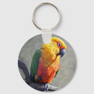 Llavero de Jenday Conure