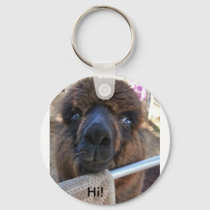 Llavero de la alpaca