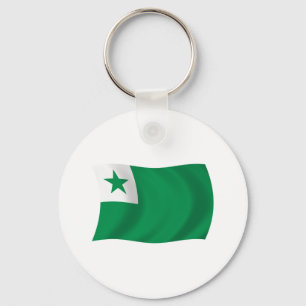 Llavero de la Bandera de Esperanto