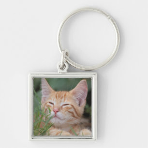 Llavero de la foto del mascota