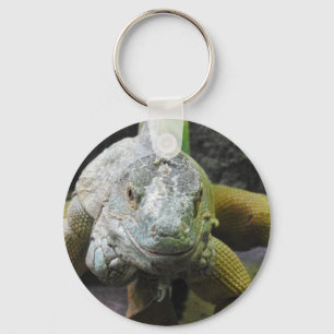 Llavero de la iguana
