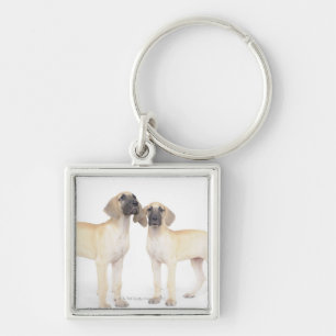 Llavero de lado a lado, pequeño grupo de animales, unidad