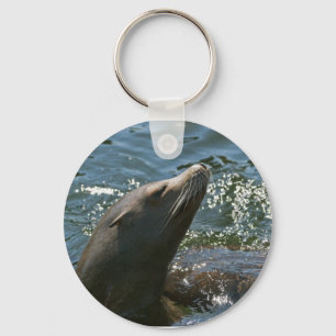 Llavero de León Marino