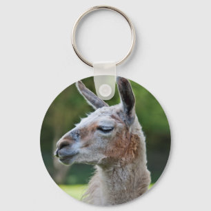 Llavero de Llama