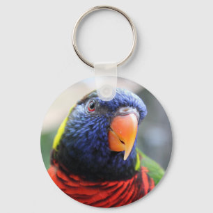 Llavero de Lorikeet