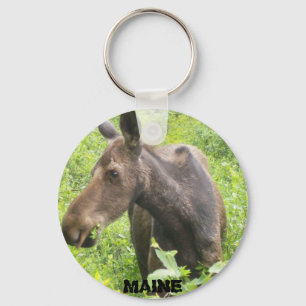 Llavero de los alces de Maine