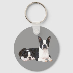 Llavero de los compinches de Boston Terrier
