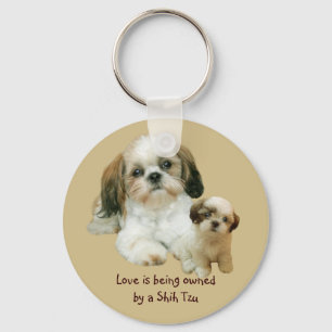Llavero de los compinches de Shih Tzu