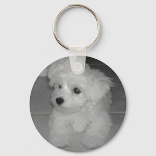 Llavero de Maltipoo