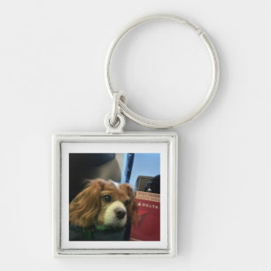 Llavero de mascota Cavalier