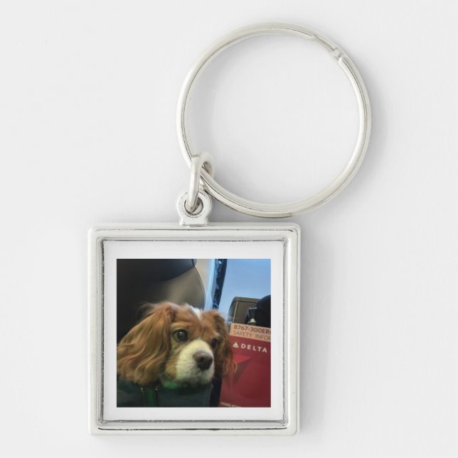 Llavero de mascota Cavalier (Frente)