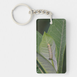 Llavero de oruga monarca