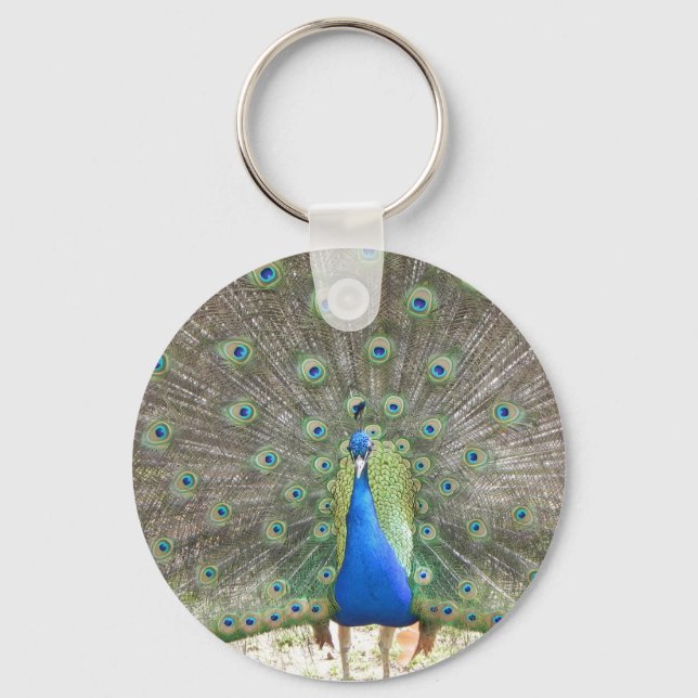 Llavero de pavo real (Anverso)