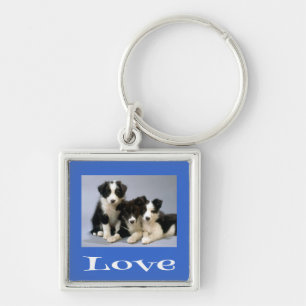 Llavero de perro azul de cachorro Border Collie de