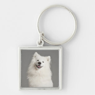 Llavero de perro cachorro Eskimo americano blanco
