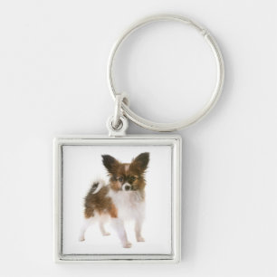 Llavero de perro cachorro Papillon
