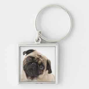 Llavero de perro pug cachorro