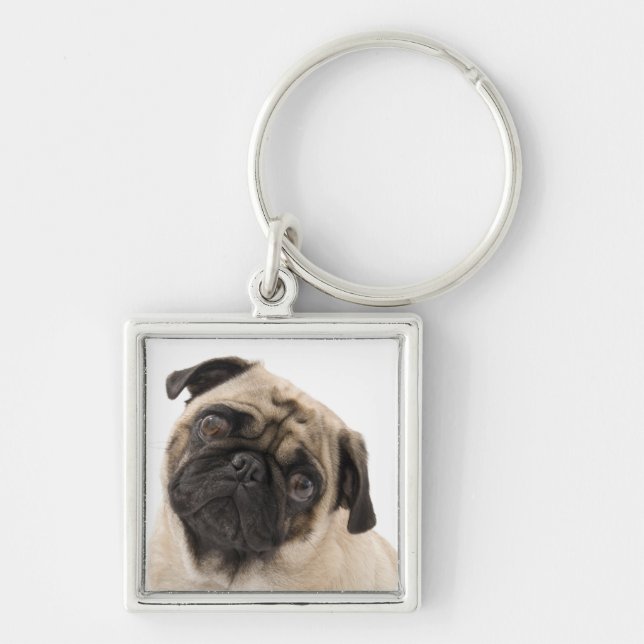 Llavero de perro pug cachorro (Frente)