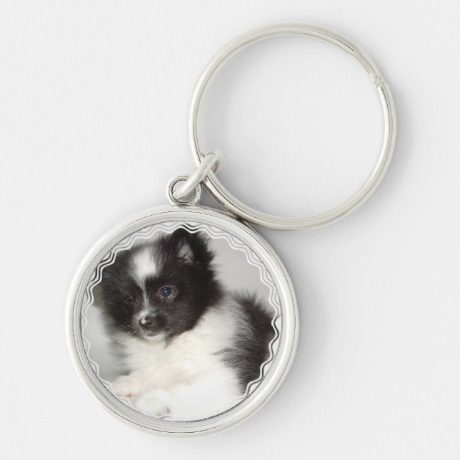 Llavero de Pomeranian del juguete (Frente)