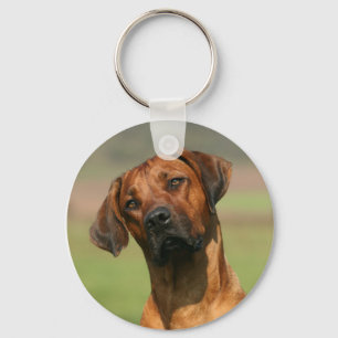 Llavero de Rhodesian Ridgeback
