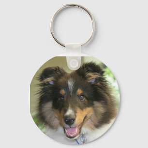 Llavero de Sheltie