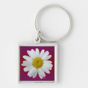 Llavero de Srta. Daisy