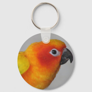 Llavero de Sun Conure
